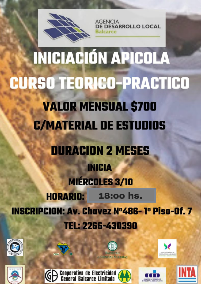 Curso Apicultura